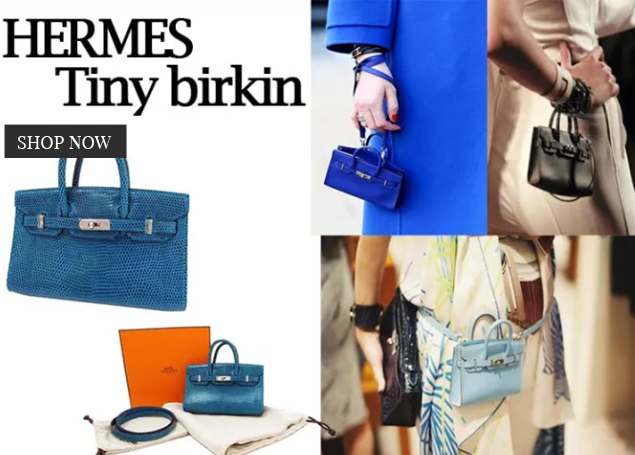 hermes birkin